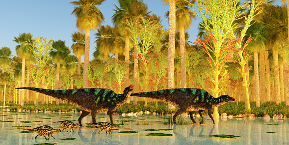 Two Maiasaura Hadrosaur dinosaurs escort their young across a swamp during the Cretaceous Period.