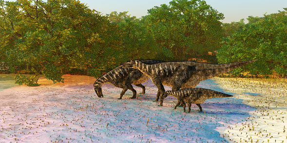 Iguanodon was a herbivorous ornithopod dinosaur that lived in Europe during the Cretaceous Period.