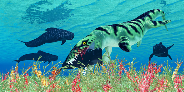 A group of Pilot whales try to evade a Dakosaurus marine reptile in Cretaceous seas of North America.
