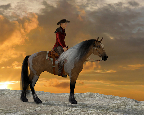 A cowboy and his Quarter horse stand on a cliff resting.