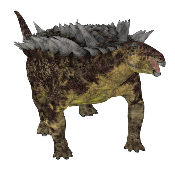istock Hungarosaurus Ankylosaurus Spikes 1500703604