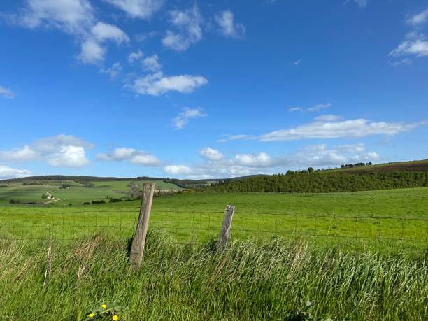 istock Lush green field with old fence posts 1500706382