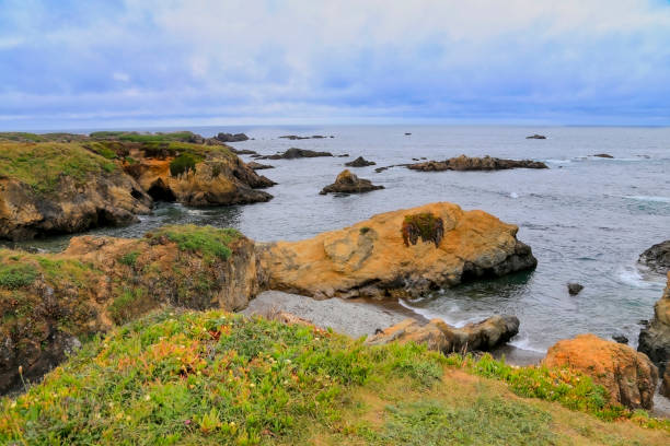 istock Northern California Coast 1500708963