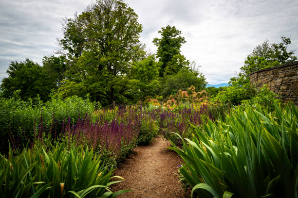 istock Garden with plants, trees, and walking trails 1500711664