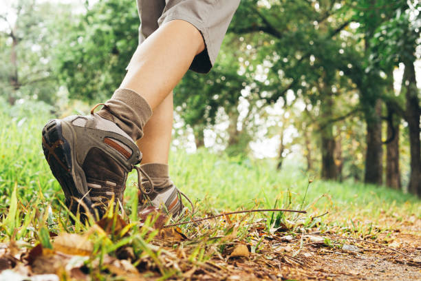 istock Back view of hiker legs walking on the mountain 1500721000