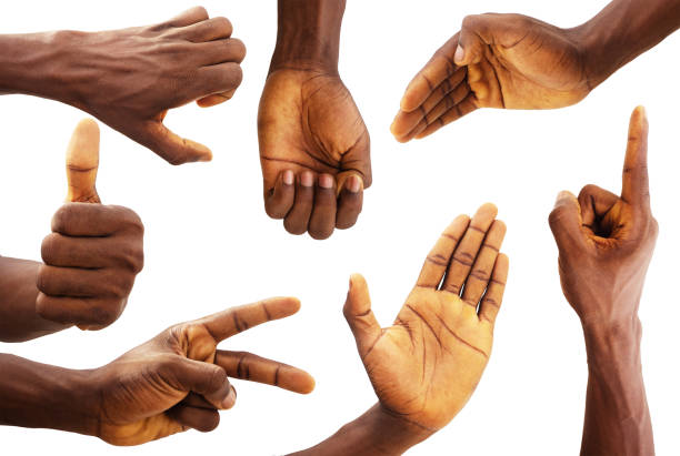 istock Set of black Hand gestures isolated on white background 1500721564