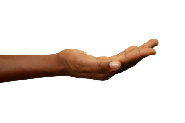 istock Open Black palm, hand open  isolated on white background. Fair skin 1500723274