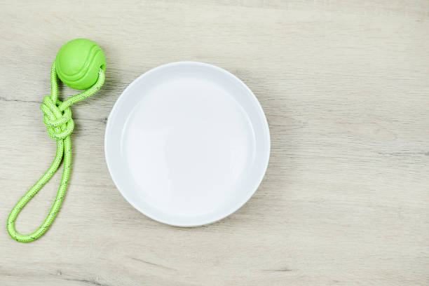 White empty dog food bowl on grey background with green toy ball, top view stock photo