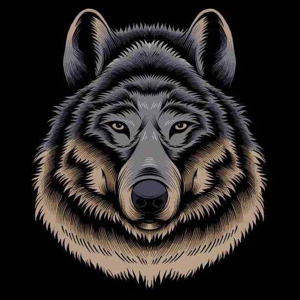 Vector illustration of wolf head illustration in detailed style