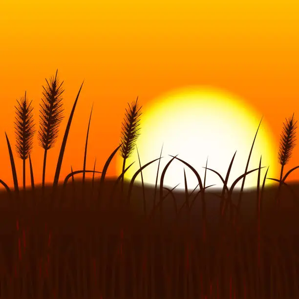 Vector illustration of Plant Branches In The Sunset