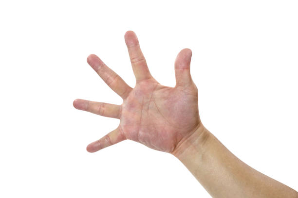 istock Asians open hand isolated on white background,clipping path 1500741475