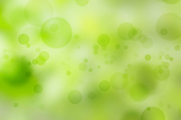 natural green bokeh abstract background