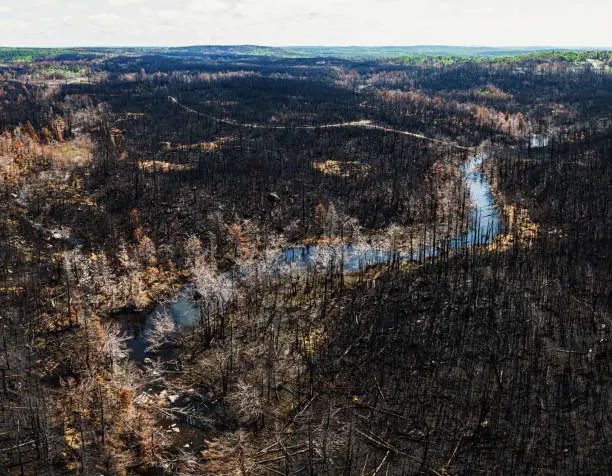 Photo of Aerial View of Wildfire Damage