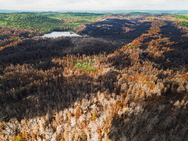 istock Aerial View of Wildfire Damage 1500747509