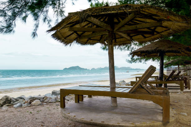 istock empty chairs and wooden umbrellas on a sandy beach 1500748843