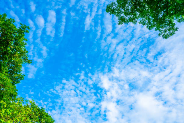 istock clouds and blue sunny sky,  white clouds over blue sky, Aerial view,  nature blue sky white cleat weather. 1500752990