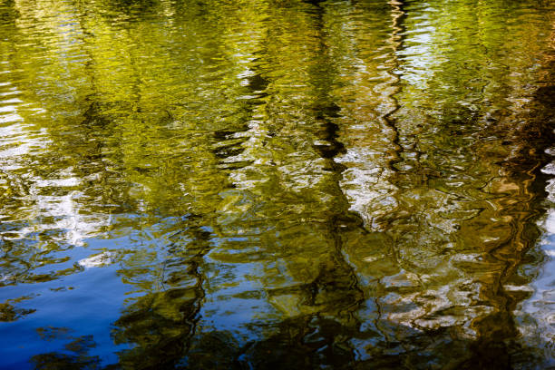 Abstract surface of water with ripples