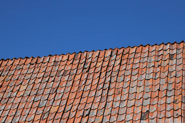 istock Roof tiles 1500770823