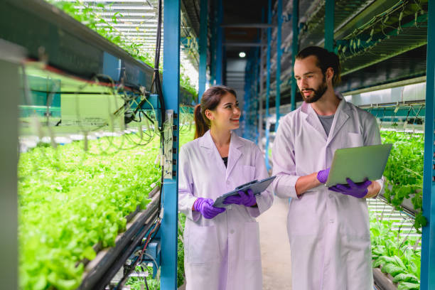 istock Scientists team working and researching in hydro and organic farm 1500773126