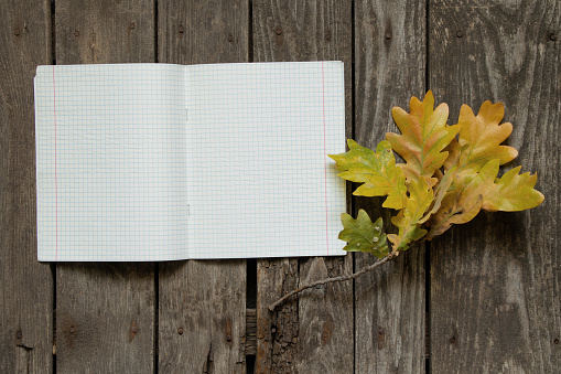 clean open notebook and yellow oak leaves on a wooden table, school