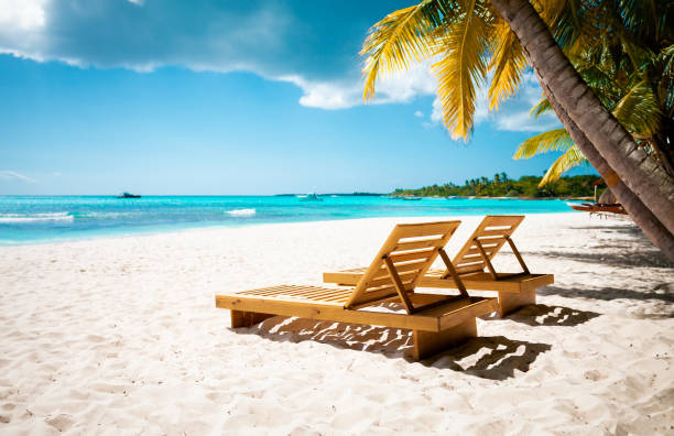istock Tropical white sand beach with palms and sea 1500774525
