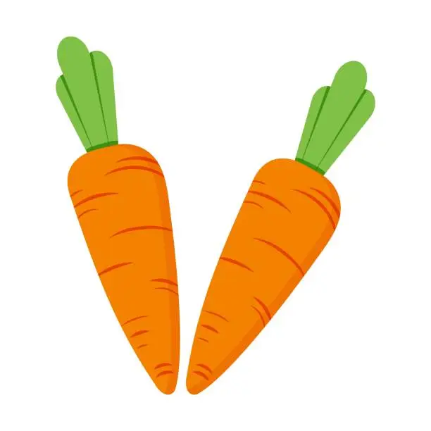 Vector illustration of Carrot illustration isolated on white background