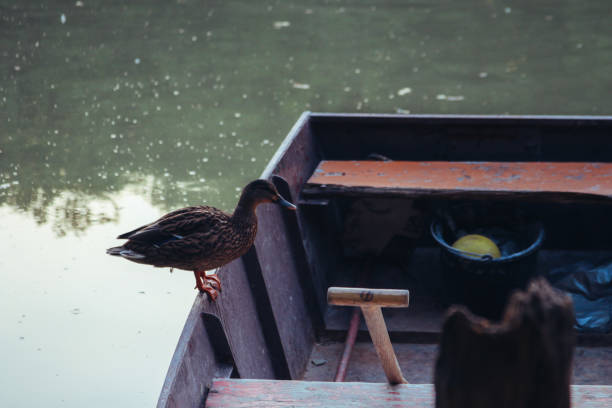 Little boat on the lake enjoying the summer