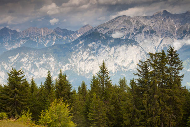 view from muttereralm to snow-capped mt. serles, mt. nockspitze, - nockspitze imagens e fotografias de stock