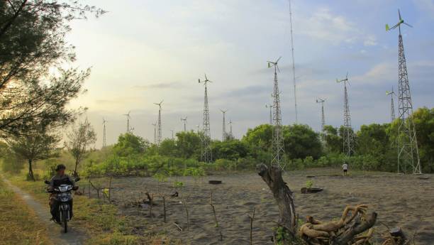 los residentes pasan alrededor de las filas de molinos de viento que funcionan como fuente de generación de electricidad - as bari fotografías e imágenes de stock