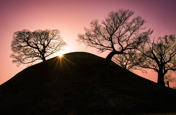 「慶州の古墳丘の時代を超越した静けさ」 - non urban scene england rural scene hill range ストックフォトと画像