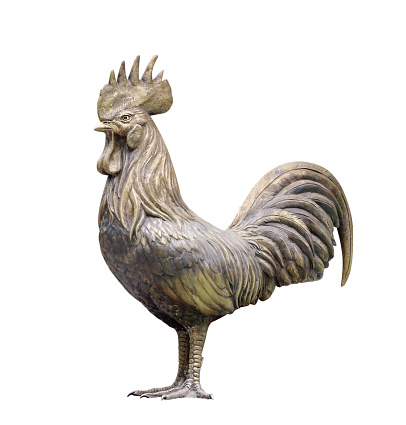 rooster statue isolated on white background, for decoration in the garden with clipping path included.