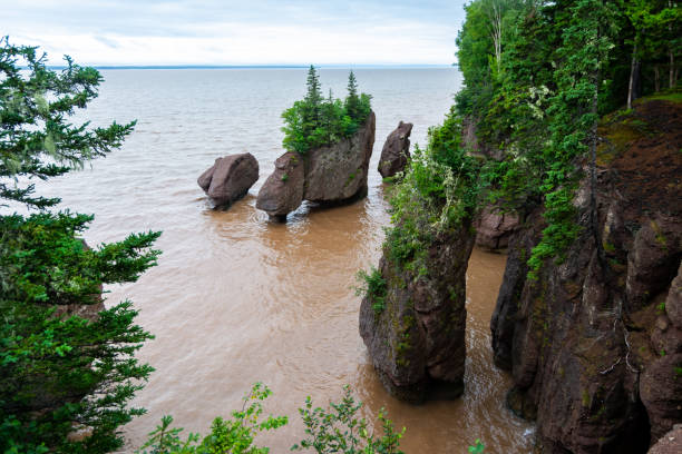 istock Bay of Fundy 1500786037