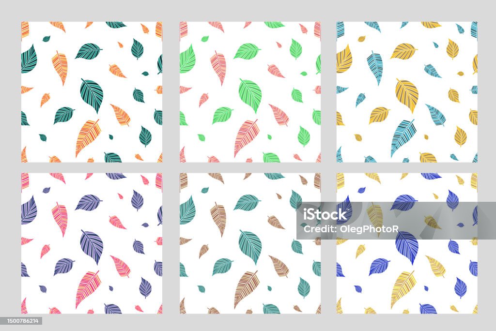 Vector Autumn Leaf Linear Drawn Leaves Bright Illustration Of A ...