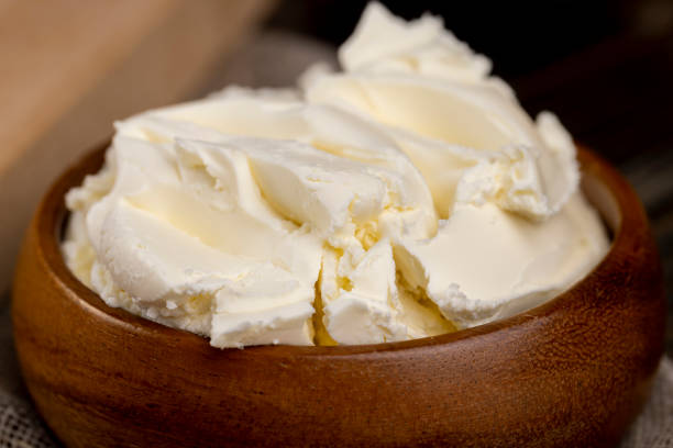 istock fresh soft cheese for cooking different types of food 1500789846