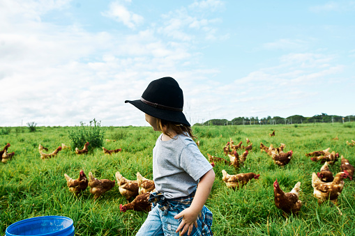 Multi-generational family looking after the chickens on their Australian farm.