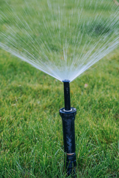 istock Automatic lawn sprinkler watering green grass. 1500791910