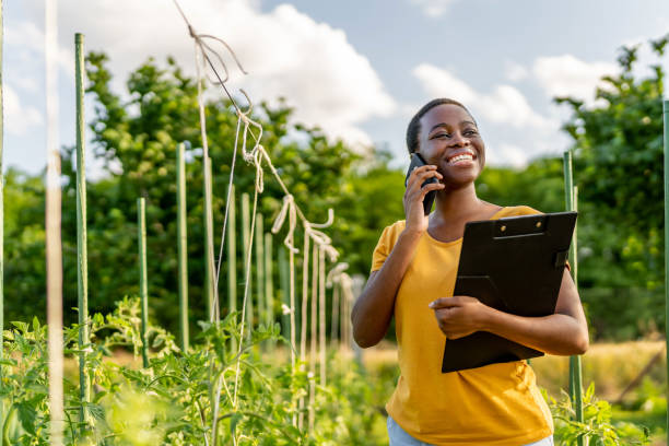 istock Seller verifies by phone the delivery information 1500793525