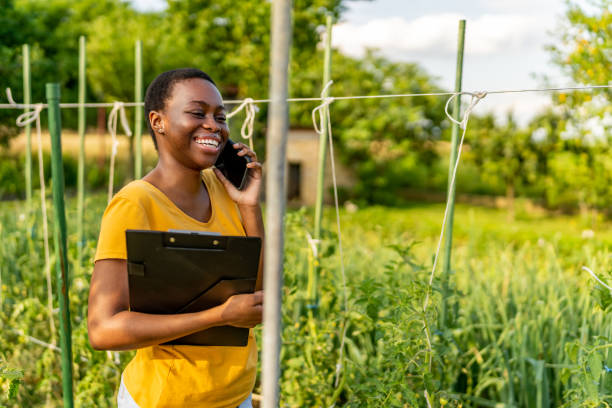 istock Farmer with smartphone working at vegetable garden 1500793543