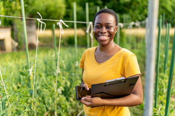 istock Farmer working at vegetable garden looking at camera with smile. 1500793574