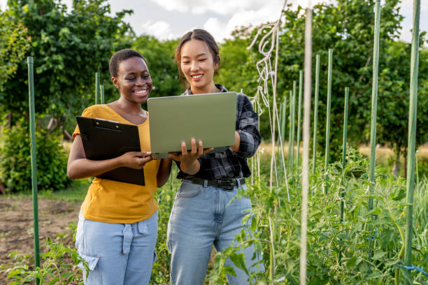istock Two female farmers discussing using a laptop outside. 1500793669