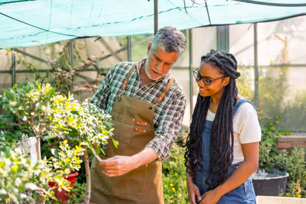 istock Flower nursery workers checking plants in the greenhouse 1500793750