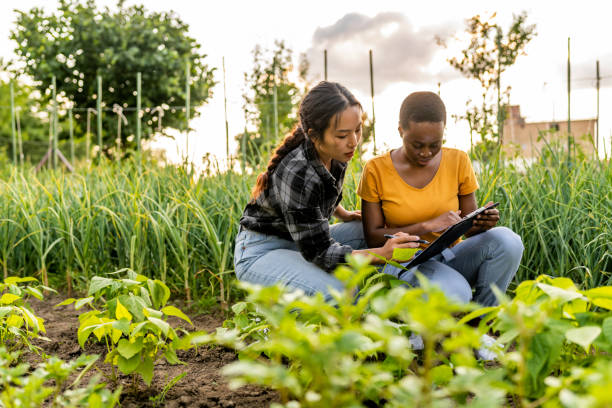 istock Friends with clipboard working on sustainable farm. 1500793954
