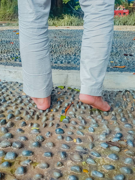 A man is standing on a stone reflection. A man is standing on a stone reflection. A path made of spiky stones for reflexology of the soles of the feet reflexology stone massaging human foot stock pictures, royalty-free photos & images