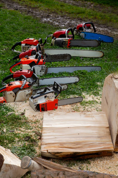 a carpenter illegally cuts and splits wood in Aceh's Ulu Masen ecosystem for sale on April 15, 2022