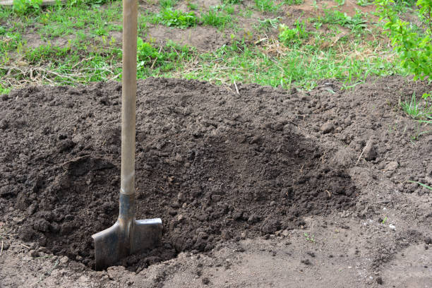 istock shovel on the garden bed, digging hole 1500796446