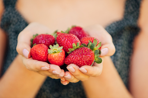 Beautiful woman's hands holding strawberries