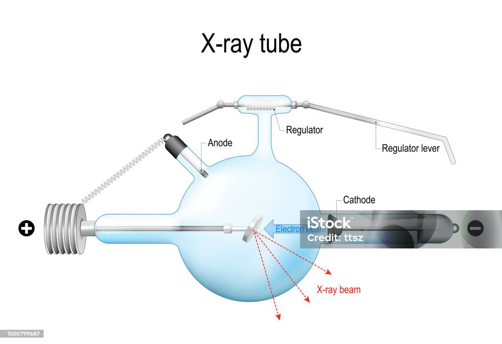Tubes For Radiogram Crookes Xray Tube Realistic Vector Illustration Stock Illustration ...