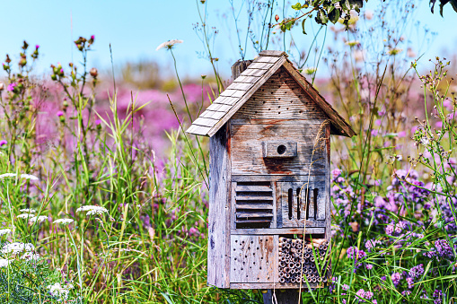 Insect hotel on a beautiful summer meadow