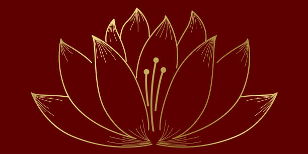 Golden lotus flower Illustration background vector Golden lotus flower Illustration background vector 曼荼羅 stock illustrations