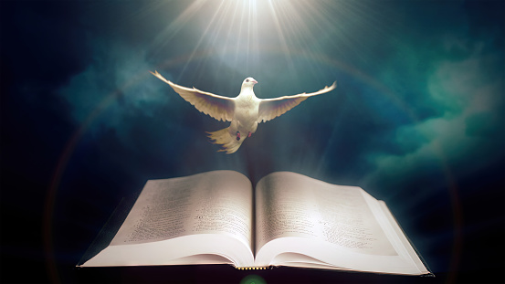 Pigeon with a open bible and clouds